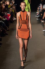    -: Alexander Wang Spring 2015