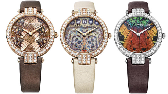 Premier Precious Butterfly     Harry Winston