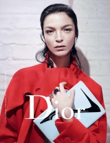   Dior  2013
