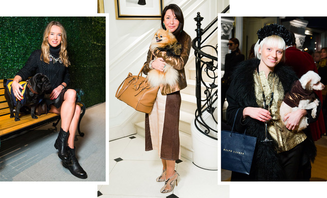   Ralph Lauren    The Dog Walk